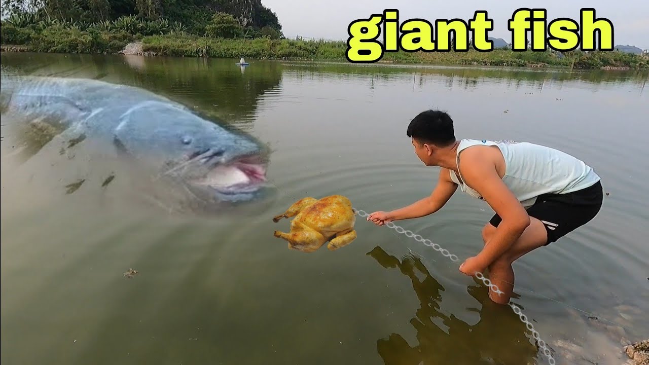 Oh My God, What is it