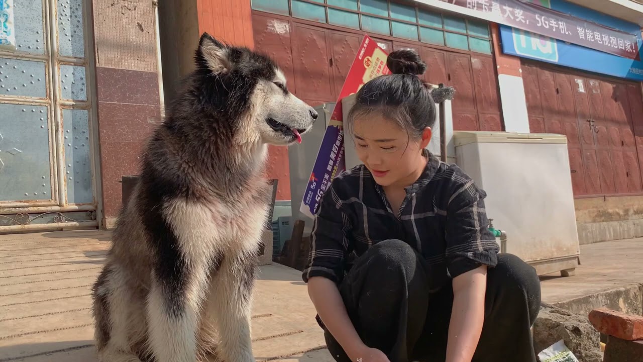 王宝宝赖皮不洗澡 Dawang is playing naughty not to take a bath丨Apenjie with Dawang