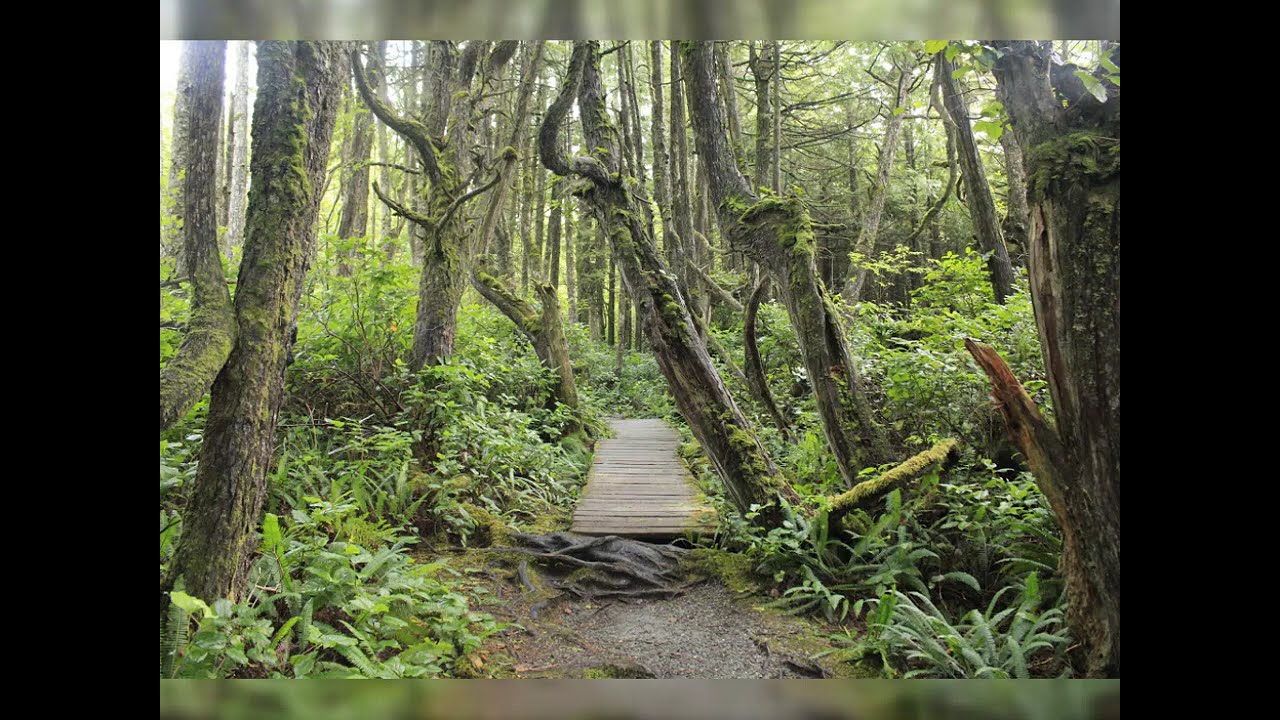 Breathtaking Vancouver Island