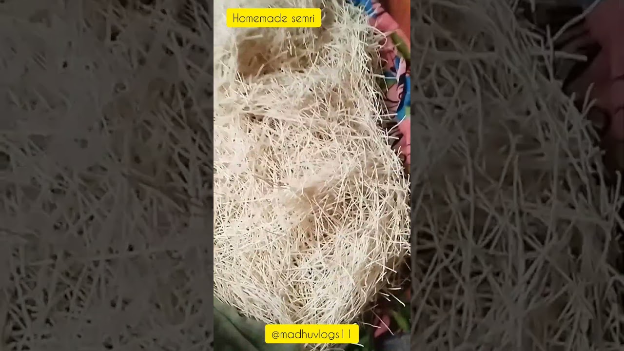 semri making #trending #shortvideo #viral #foodlover #homemade #tastyfood #makinghome