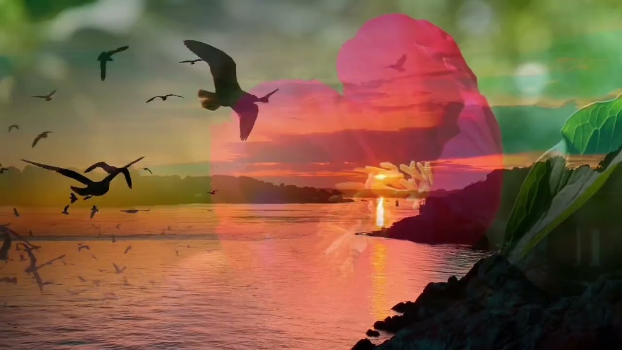 Salmo 32: A Alegria do Perdão | Bossa Nova
