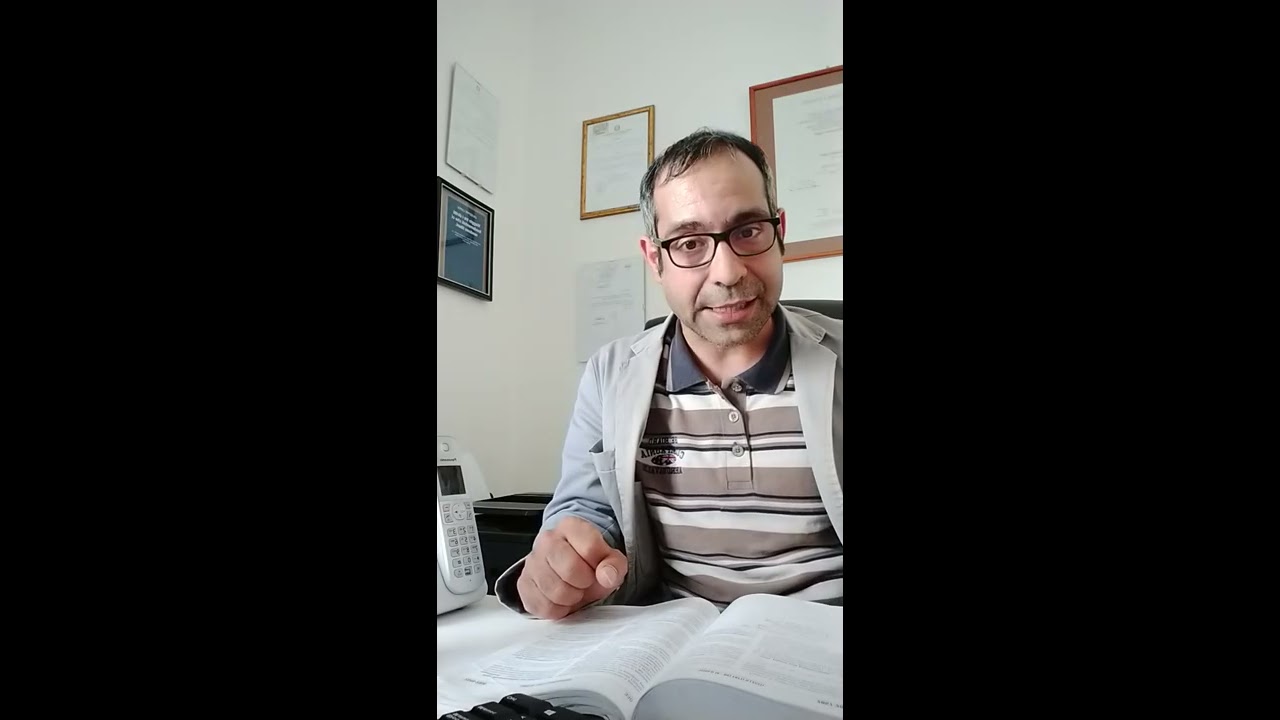 Circolazione stradale. Danno da investimento di cervi