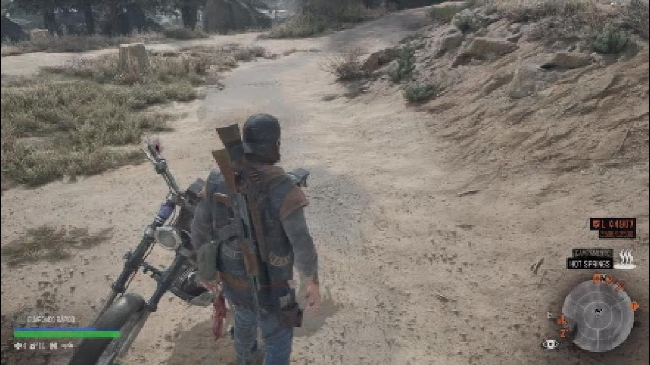 Days Gone 8