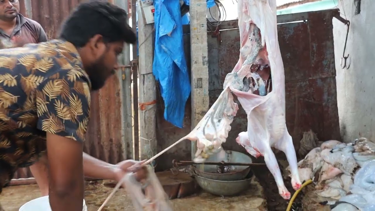 Amazing Sheep Cutting Skills by Local Mutton Market Butcher | Fastest Mutton Cutting Skills