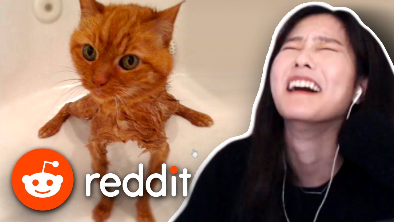 39daph Reacts to Reddit