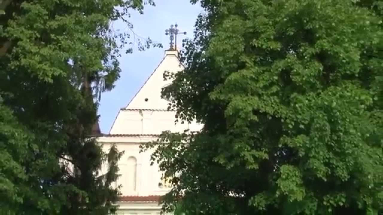 Odsłonięcie pomnika Św. Jana Pawła II w Łęcznej