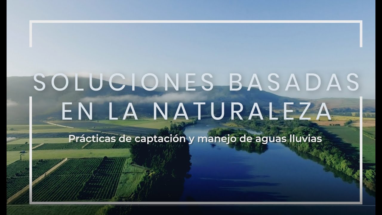 Soluciones Basadas en la Naturaleza- Prácticas de captación y manejo de lluvias en Curepto