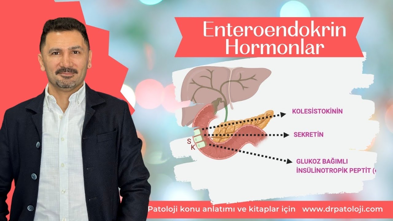 Enteroendokrin Hormonlar (FİZYOLOJİ)