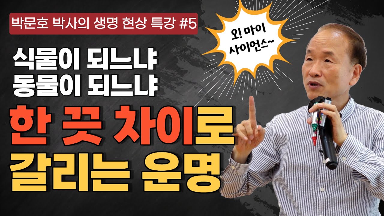 박문호 박사의 생명현상 특강 5부 / 식물이 되느냐, 동물이 되느냐! 한 끗 차이로 갈리는 운명 / 고기나 생선으로 술을 담글 수 있을까?/ 인간은 대우주다!