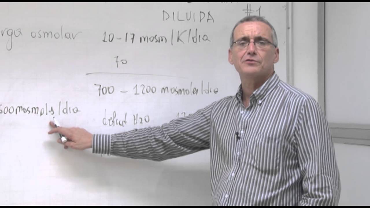 Fisiología III -Formación de Orina Concentrada Diluida1