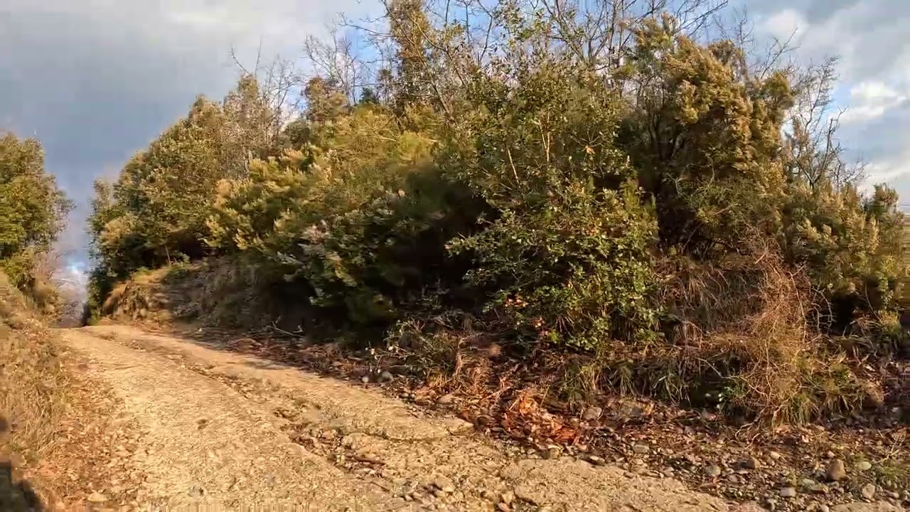 SANDA MOTOCROSS PIANI CANTALUPO_18032026