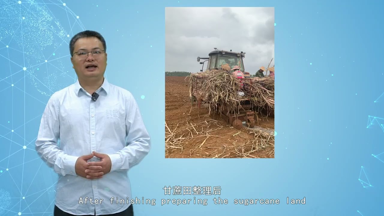 Sweet Career: High-sugar and High-yielding Sugarcane Production Technology