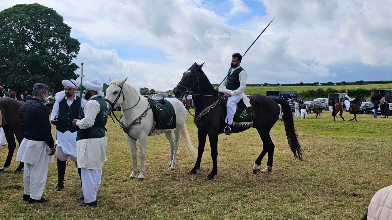 Neza Bazi UK 🇬🇧  Heckmondwike | Dadyal AJK 🇵🇰 | Tent Pegging | Horse Show