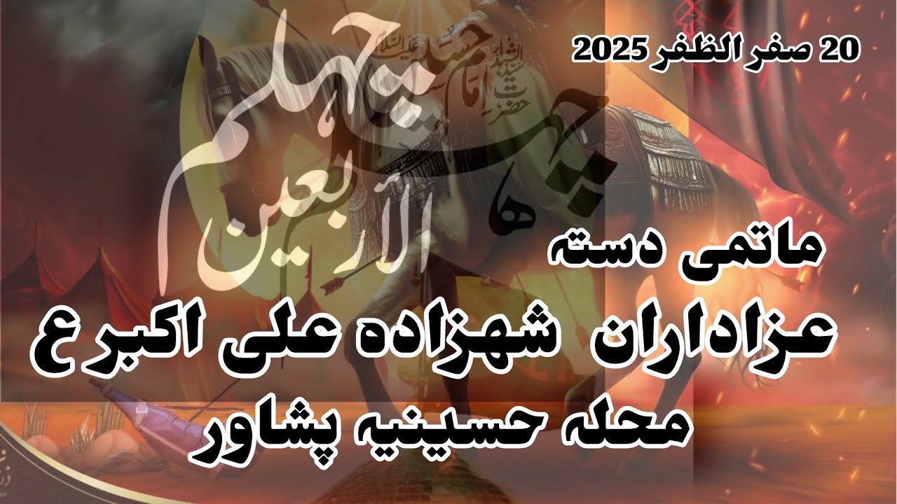 Kiya Howa Bazar Main | 20 safar 2025 | chelum IMAM HUSSAIN (a.s) Markazi Matami Jaloos 
