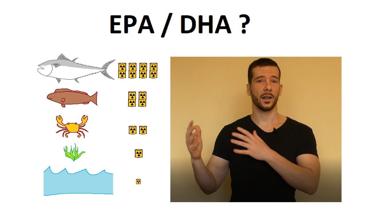 Argument: Vegáni Nemajú Dostatok Omega 3 Mastných Kyselín