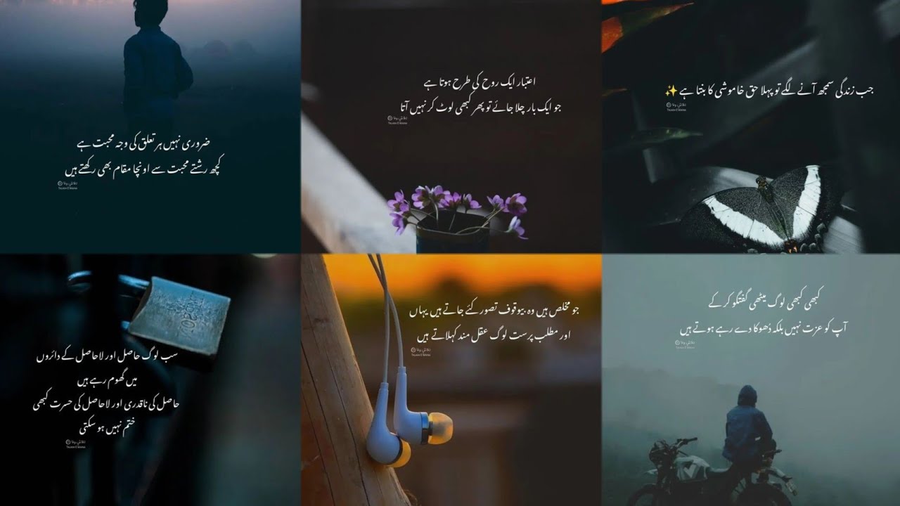 Amazing Collection Of Urdu Quotes | Urdu Quotes For Life | Life Changing Urdu Poetry |