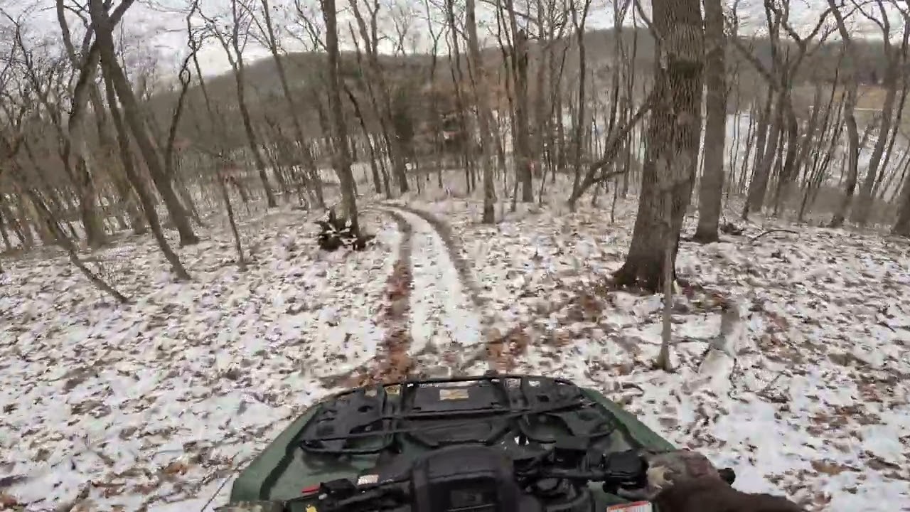 Crusin Through the Snow