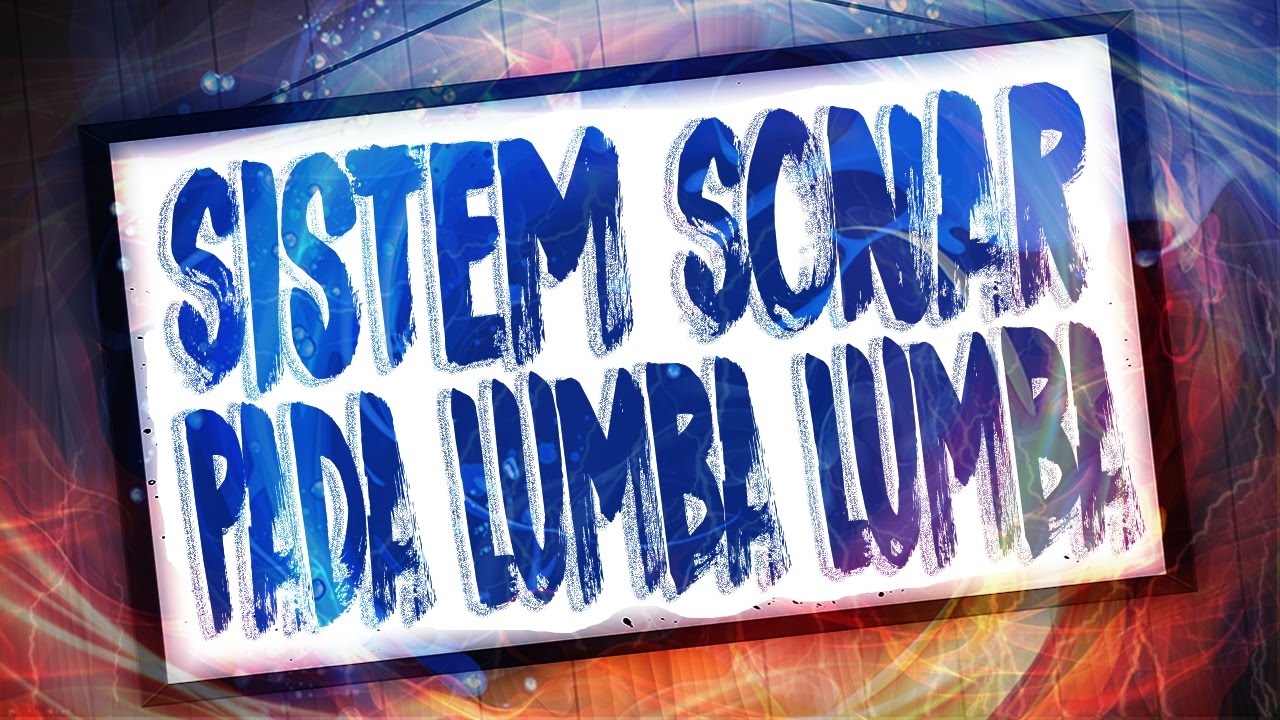 Sistem Sonar Pada Lumba Lumba