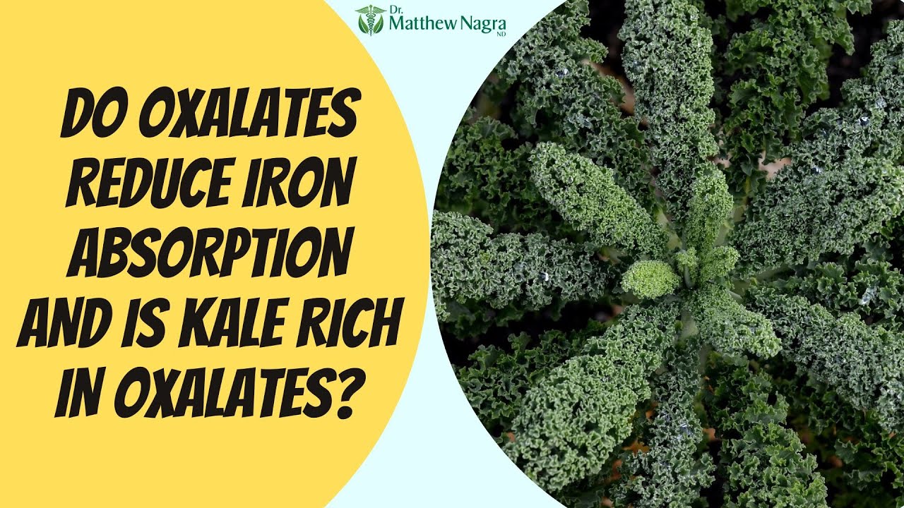Kale, Oxalates, and Iron Absorption