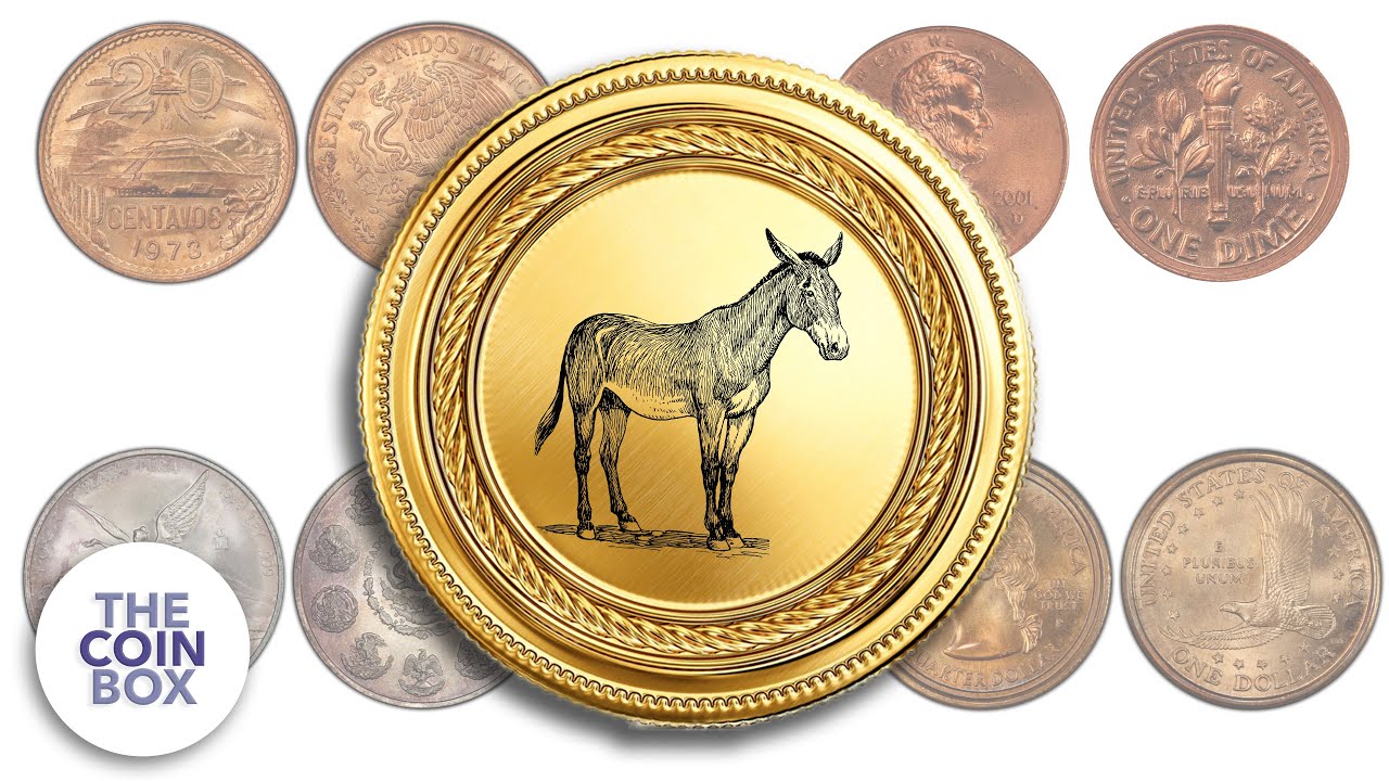 What is a Mule Coin? - EXPLAINED