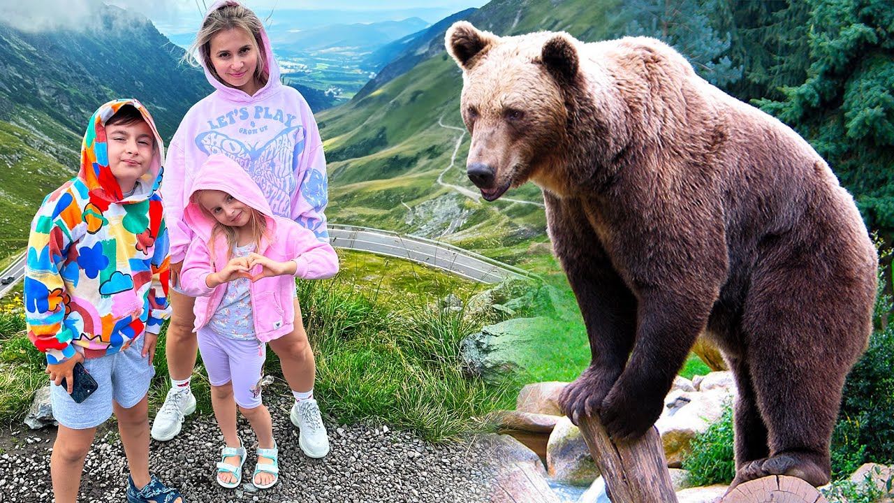 Transfagarasan - Am intalnit Ursi