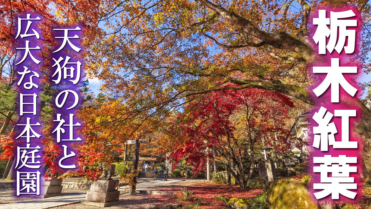 秋の古峯神社と古峯園で紅葉狩り/大量の天狗が出迎える紅葉の名所/栃木観光旅行vlog