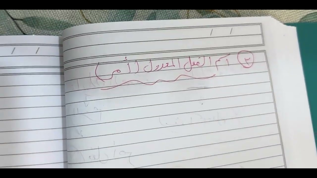 أنواع اسم الفعل #ثاني_عشر_٢٠٢٦