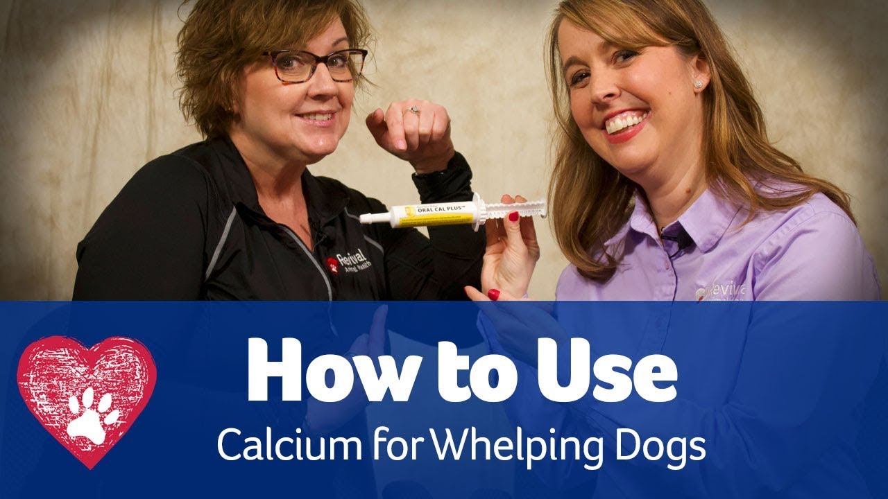 Whelping with Calcium: Pet Care Pro Show