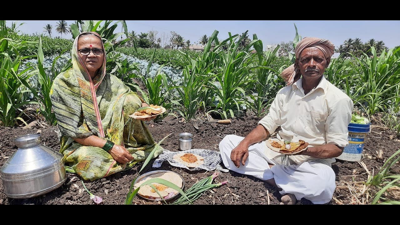 रानातच बसुनचं दुपारचं जेवण केलं,हाफ बॉइल अंड्याची पोळी ,वेगळ्या पद्धतीचं भरीत ,भाकरी|Afternoon Lunch