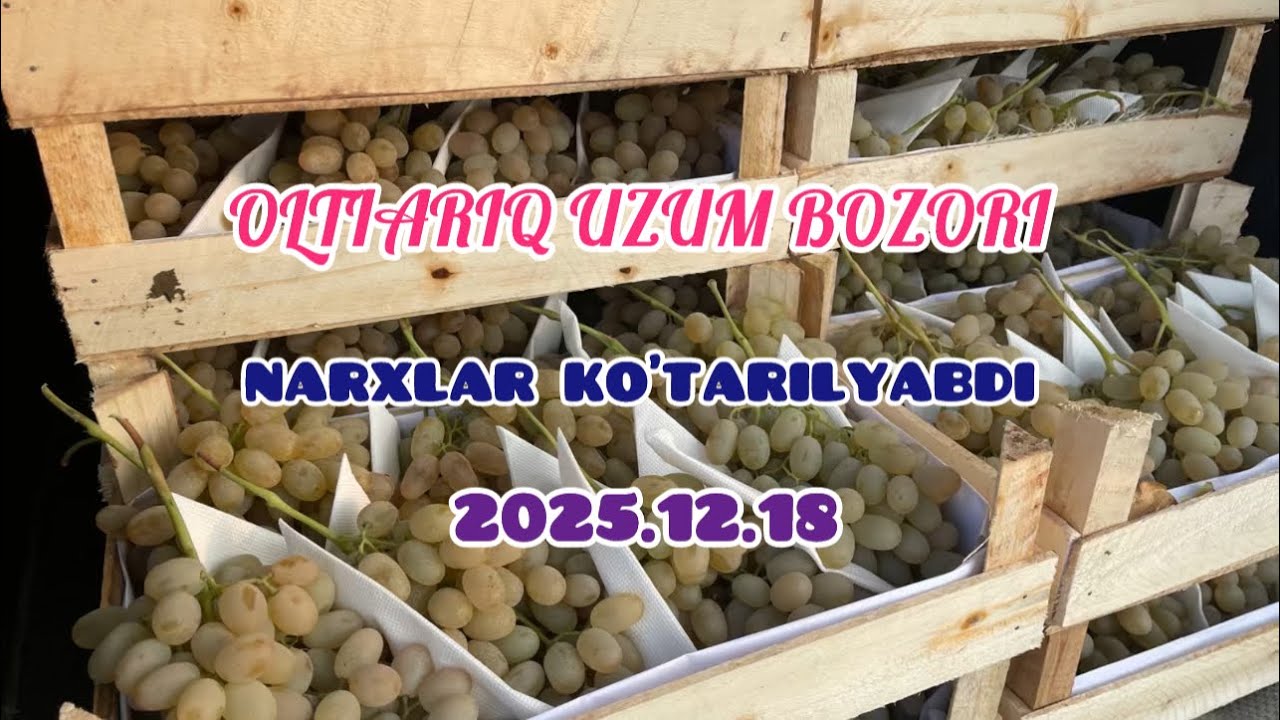 ҚОР ЁҒМОҚДА УЗУМ БОЗОРДА УЗУМЛАР ЧАҚҚОН