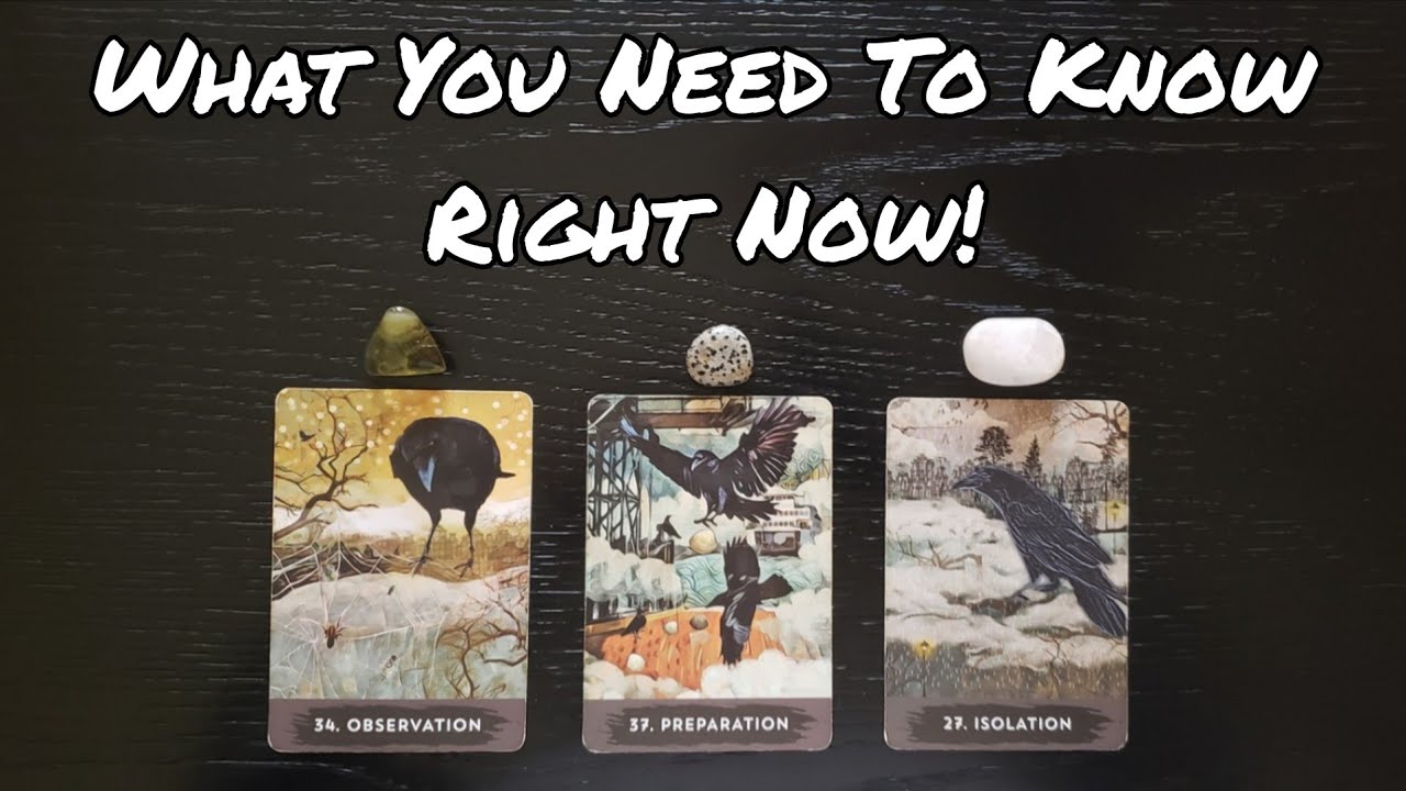 🌻💛 What You Need To Know Right Now! Pick A Card Reading 
