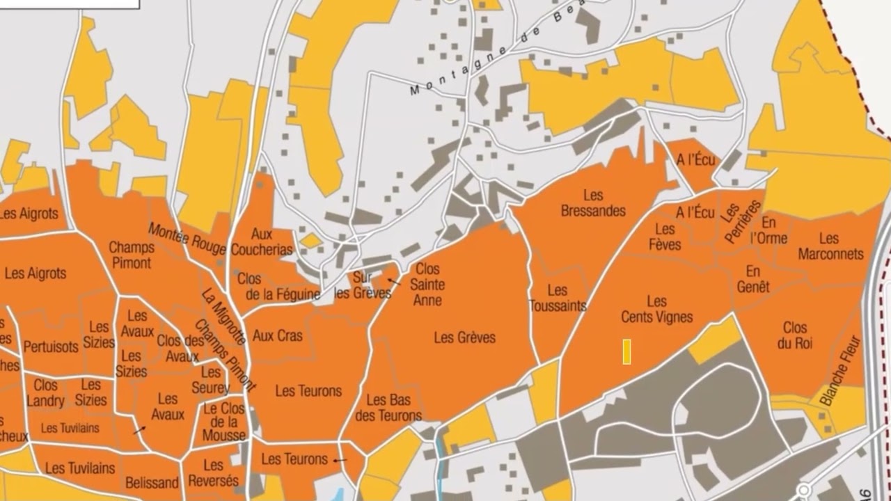 Beaune und seine 1er Crus - Masterclass mit Frank Kämmer MS