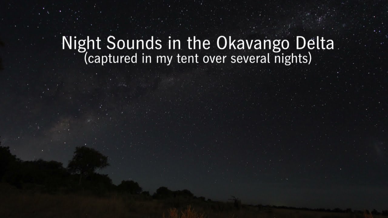 Nachtgeräusche im Zelt mitten im Okavango Delta