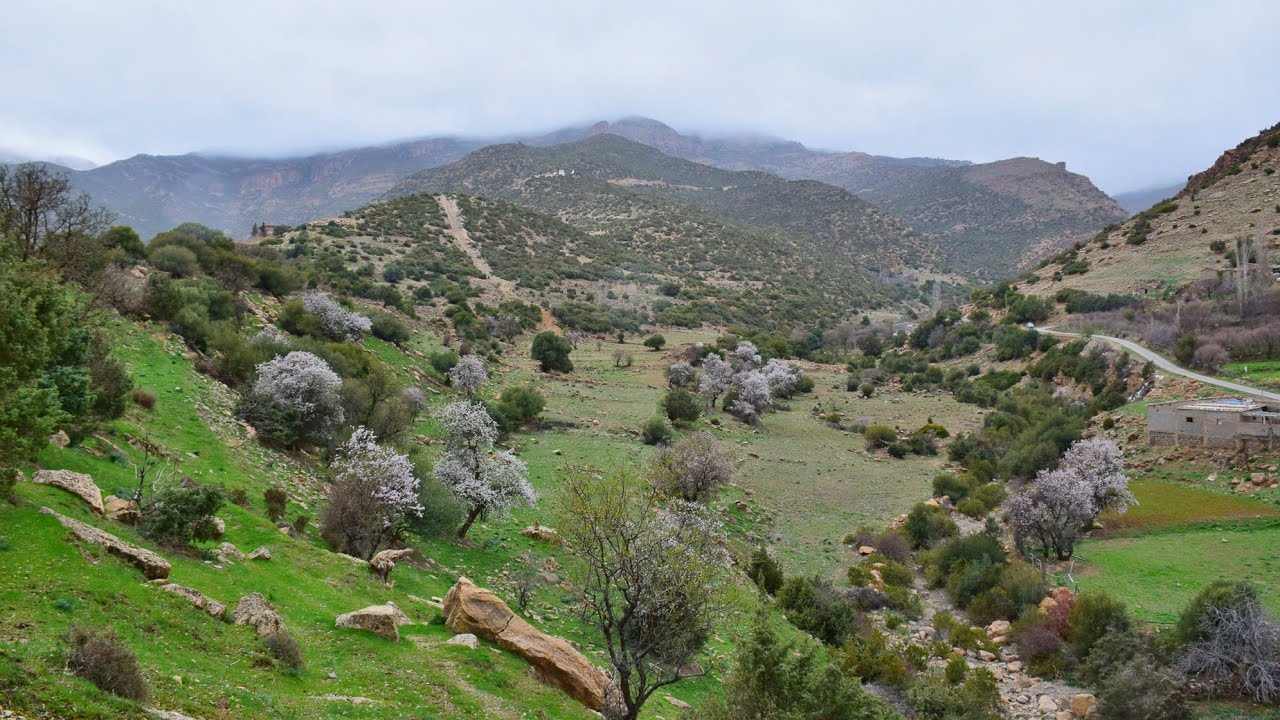 تقلعيت برج بوعريريج الجزائر فصل الربيع Taglait Bordj  bou Arreridj Alg&eacute;rie