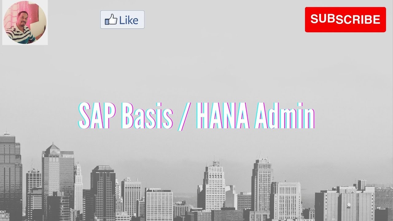 HANA Database monitoring Part 1 | tab Overview | HANA Studio