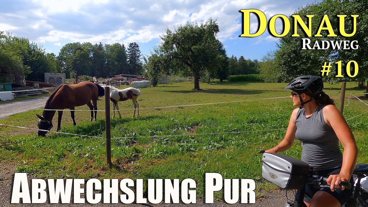 Donau-Radweg 10 | Abwechslung Pur | Europa-Radreise #35 von 53