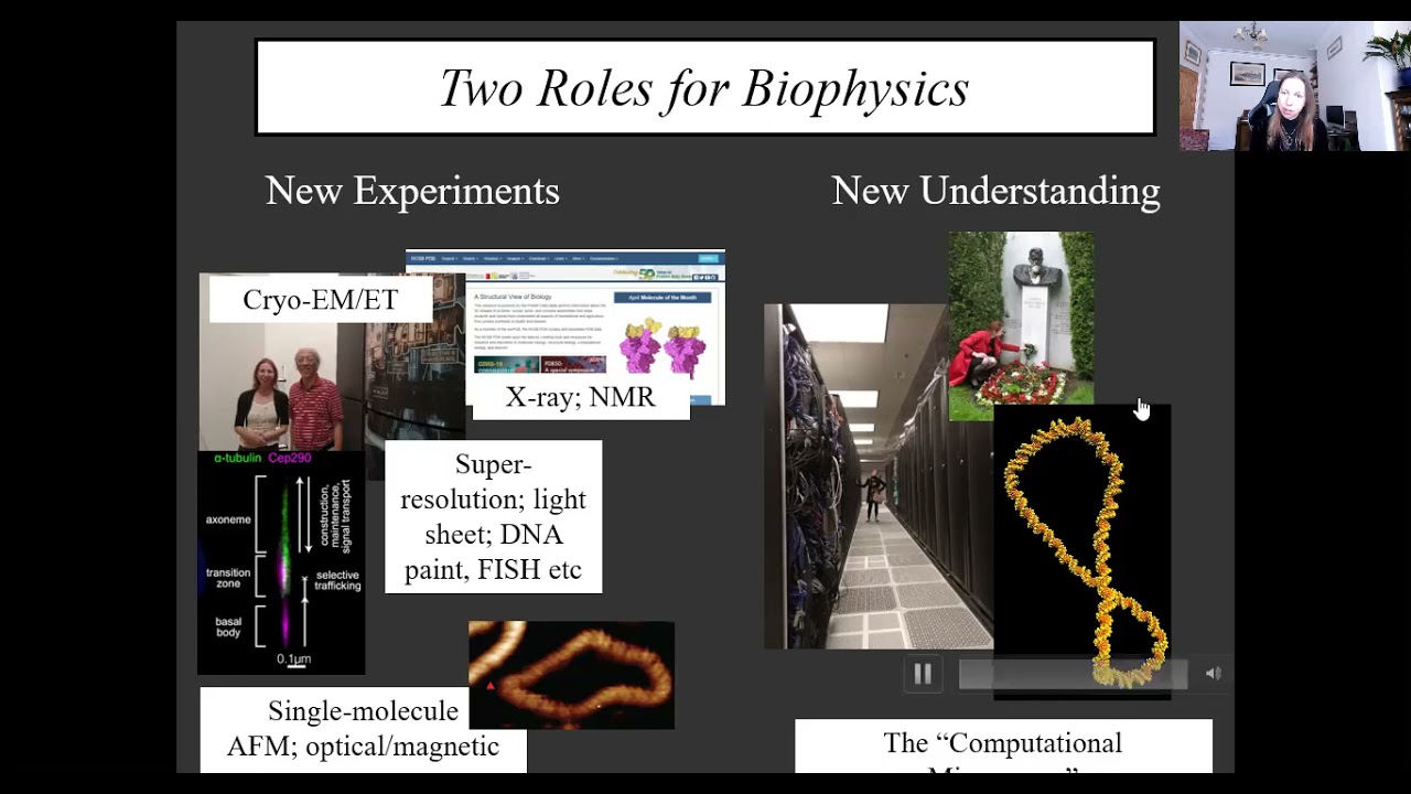 Biophysics Modeling for Structure and Functional Determination of DNA, Dr. Harris