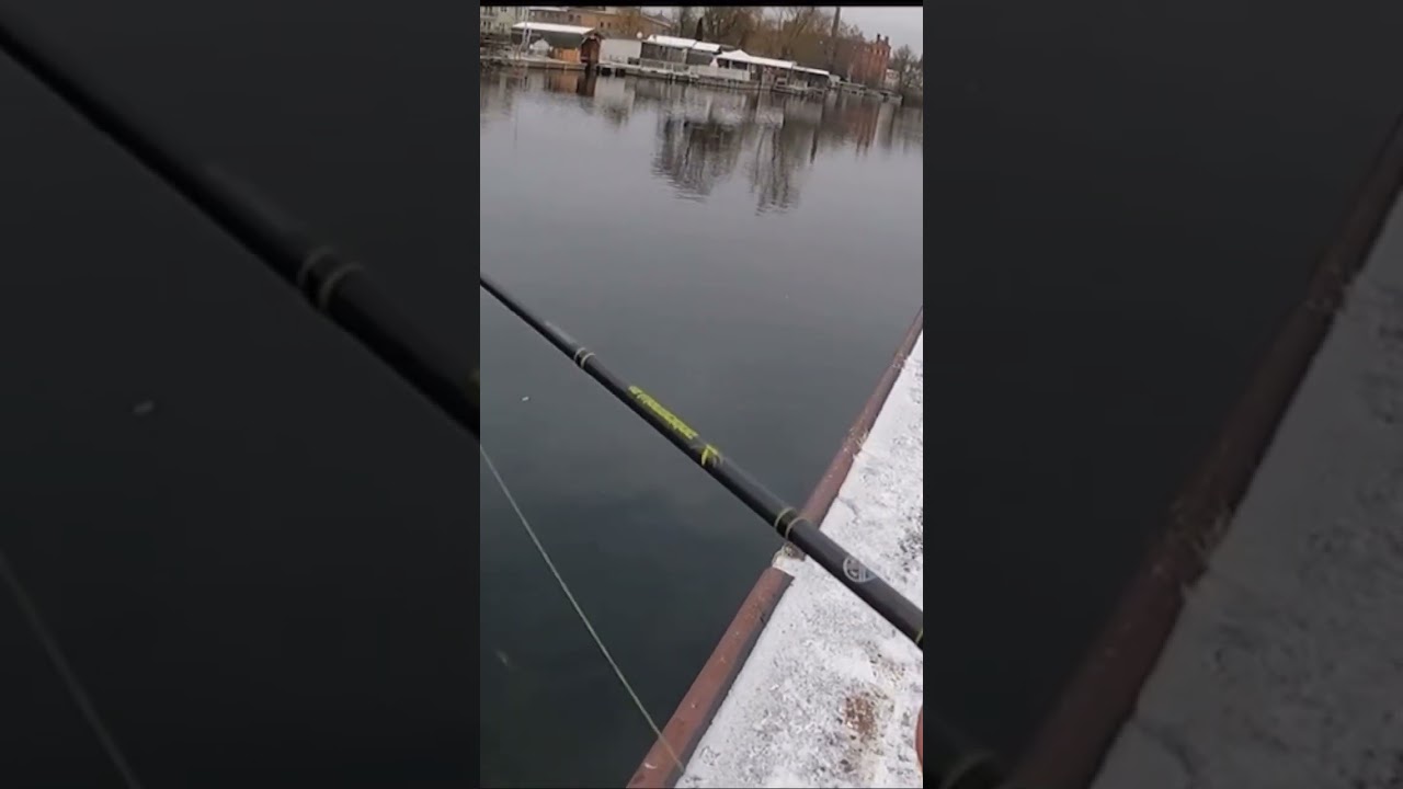 Perchfishing fail           #perch&egrave;#angeln#baars#baarsvissen#perca#demonslayer#lmab