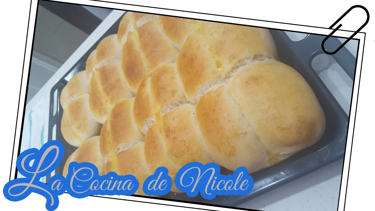 MARRAQUETA /PAN BATIDO /PAN MARRAQUETA E20