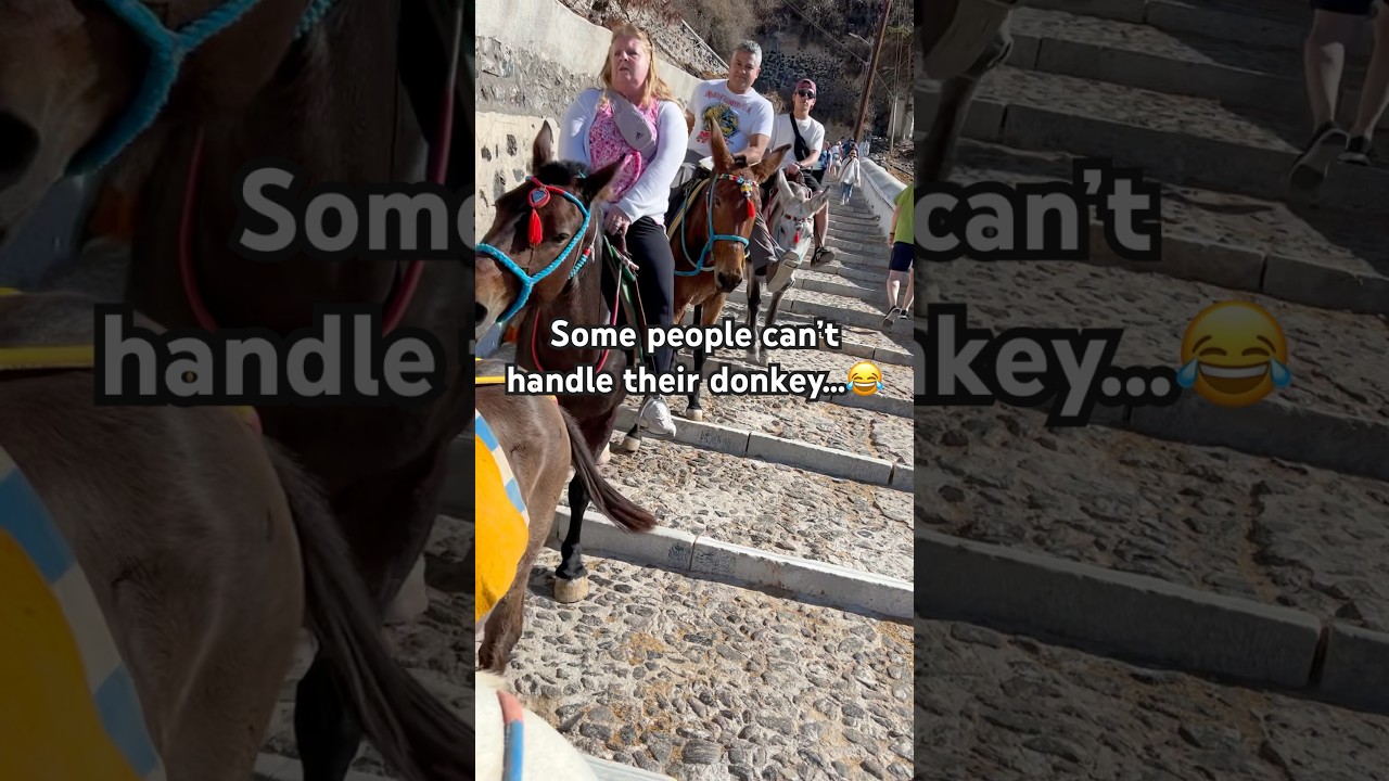 Donkey ride down 588 steps in Santorini, Greece. #travel #travlevlog #donkey #familytravel #trending