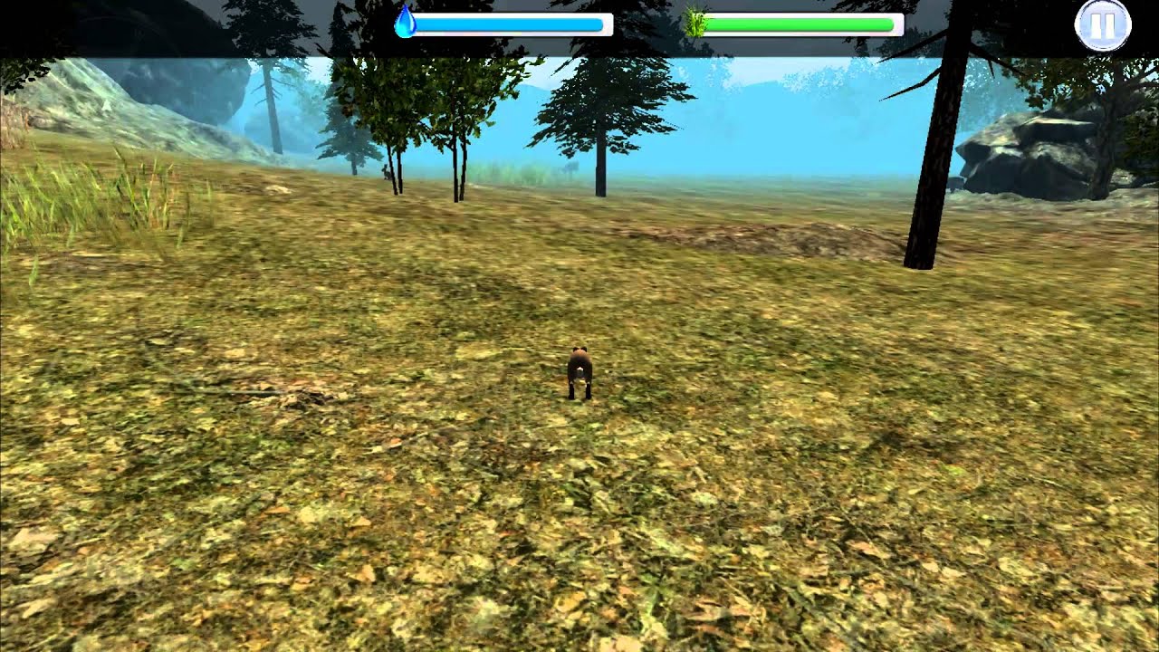 Rabbit Simulator Official Trailer