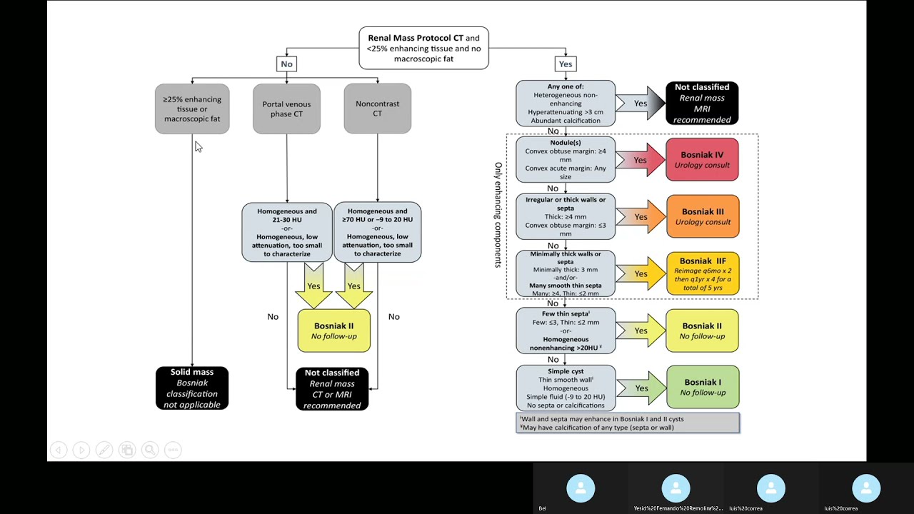 Clasificación Bosniak 2019  Quistes Renales