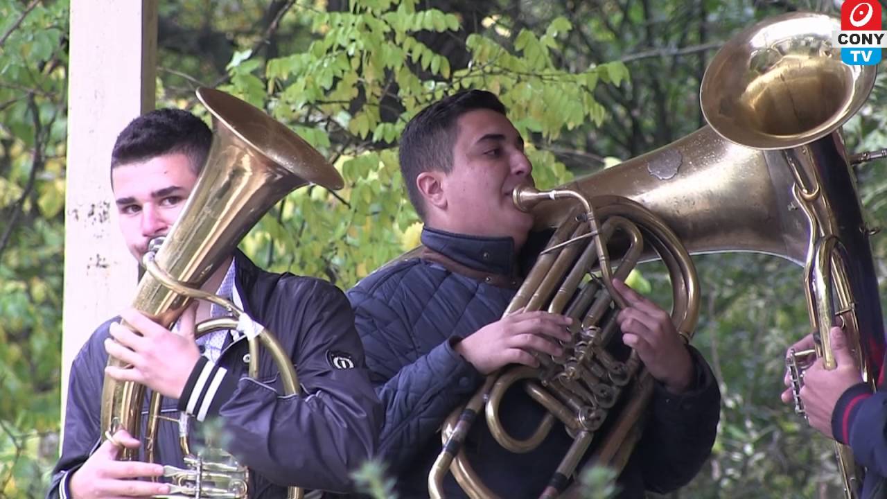 Festivalul fanfarelor din zona Barladului