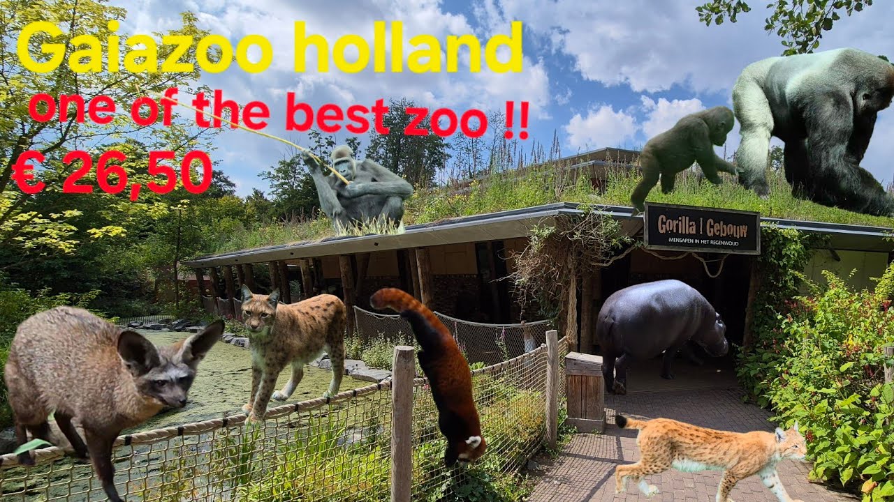 GaiaZOO Holland . One of the best in Europa!!