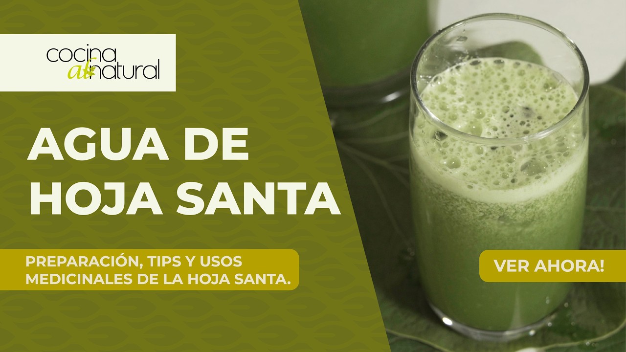 5 Días con Hoja Santa para CAMBIAR Tu Salud Respiratoria y Digestiva
