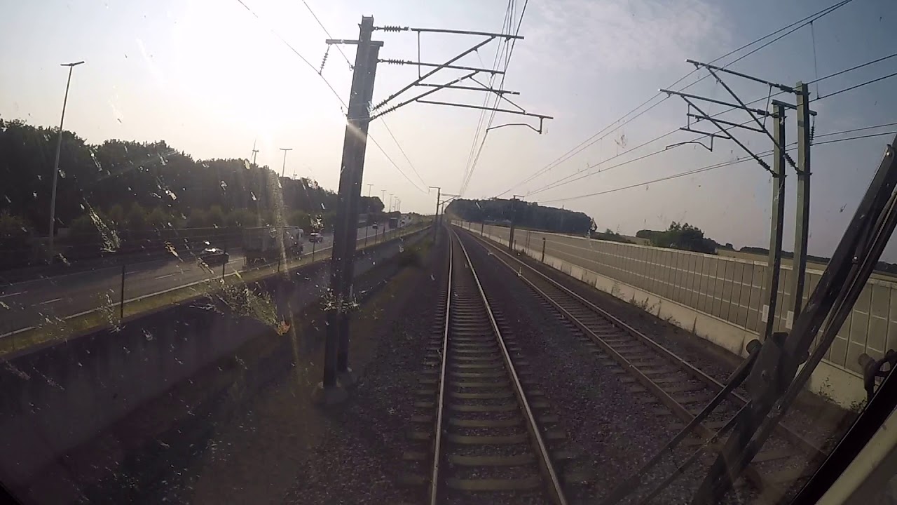 Pov 200km/u and 1 pigeon