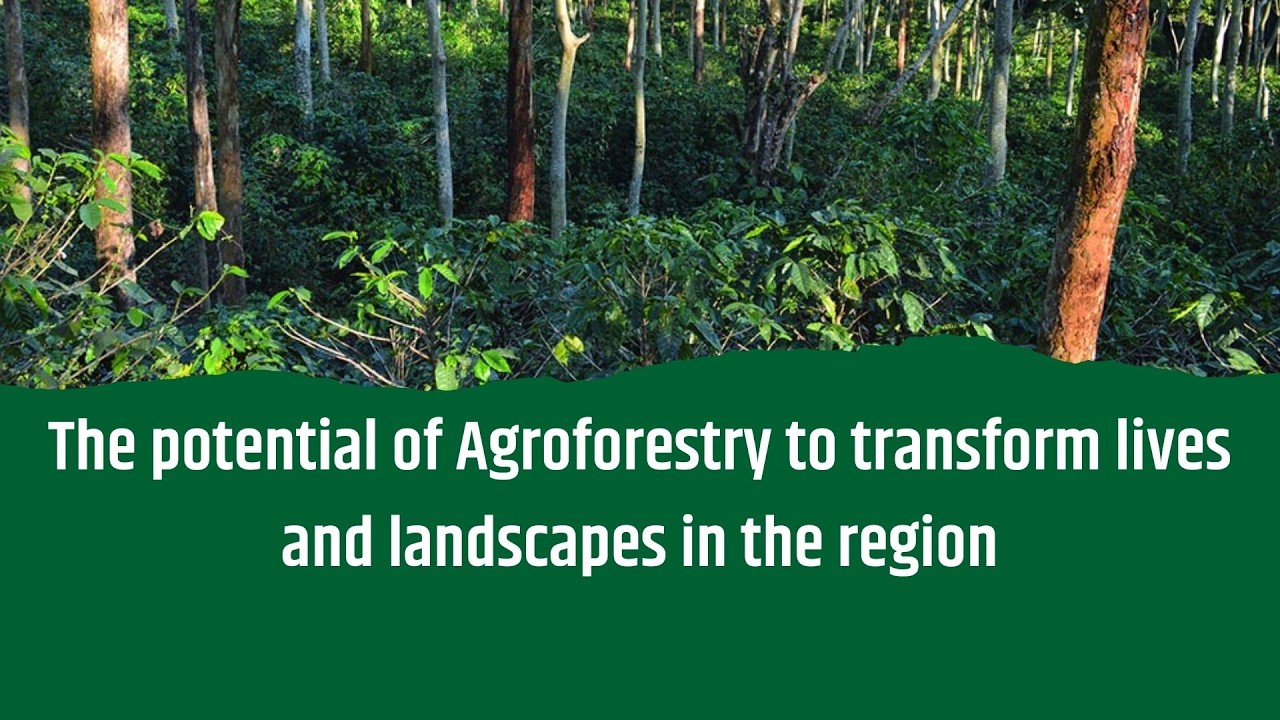 Webinar: The potential of agroforestry to transform lives and landscapes in the region