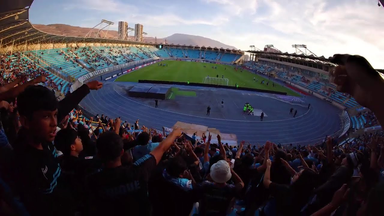 Llamo no te vayas a olvidar... 🦙🦙