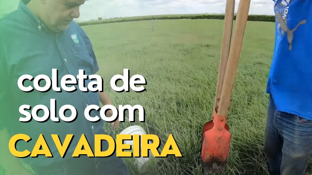 Como Fazer Coleta de Amostra de Solo de Forma Técnica Utilizando a Cavadeira. Ep#106