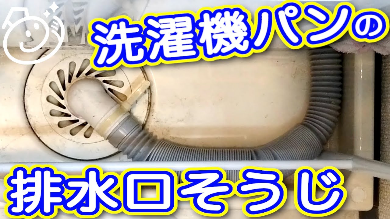 洗濯機パンの掃除　入居から１年放置した排水口の掃除をしてみた｜お掃除らいふ